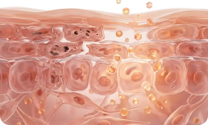 Tekort aan herstellende voedingsstoffen